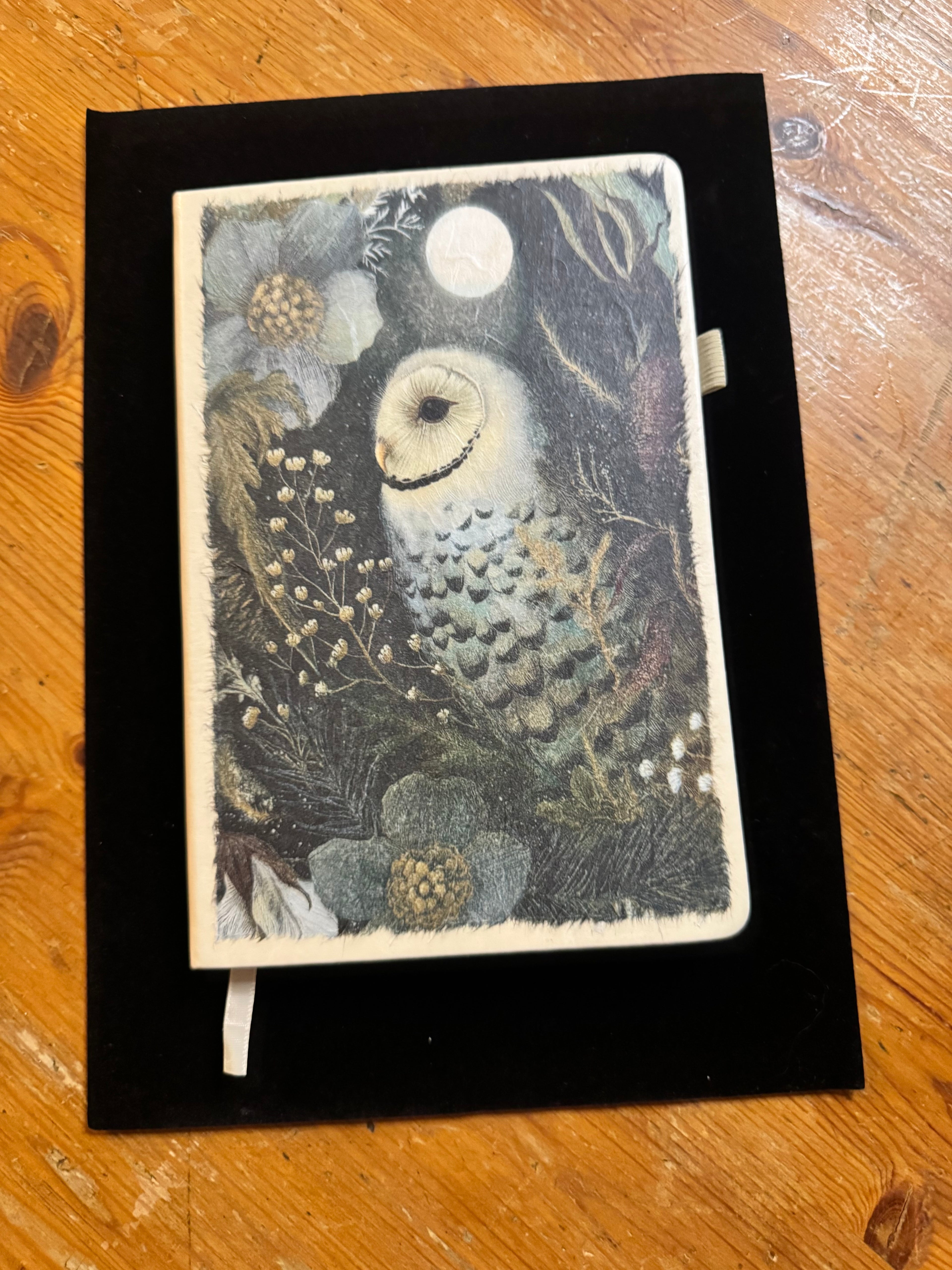 Night Creatures Notebook $25