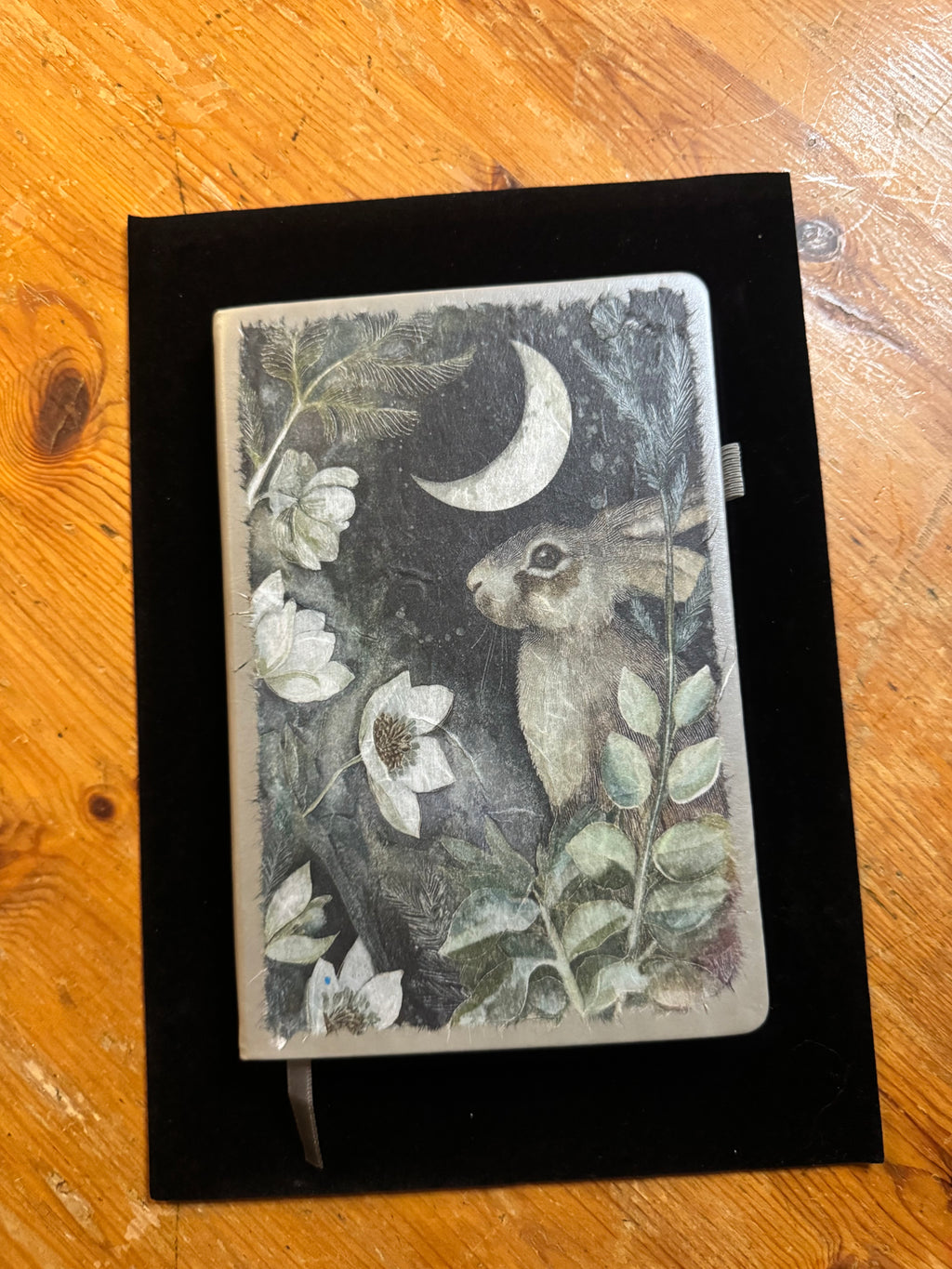 Night Creatures Notebook $25
