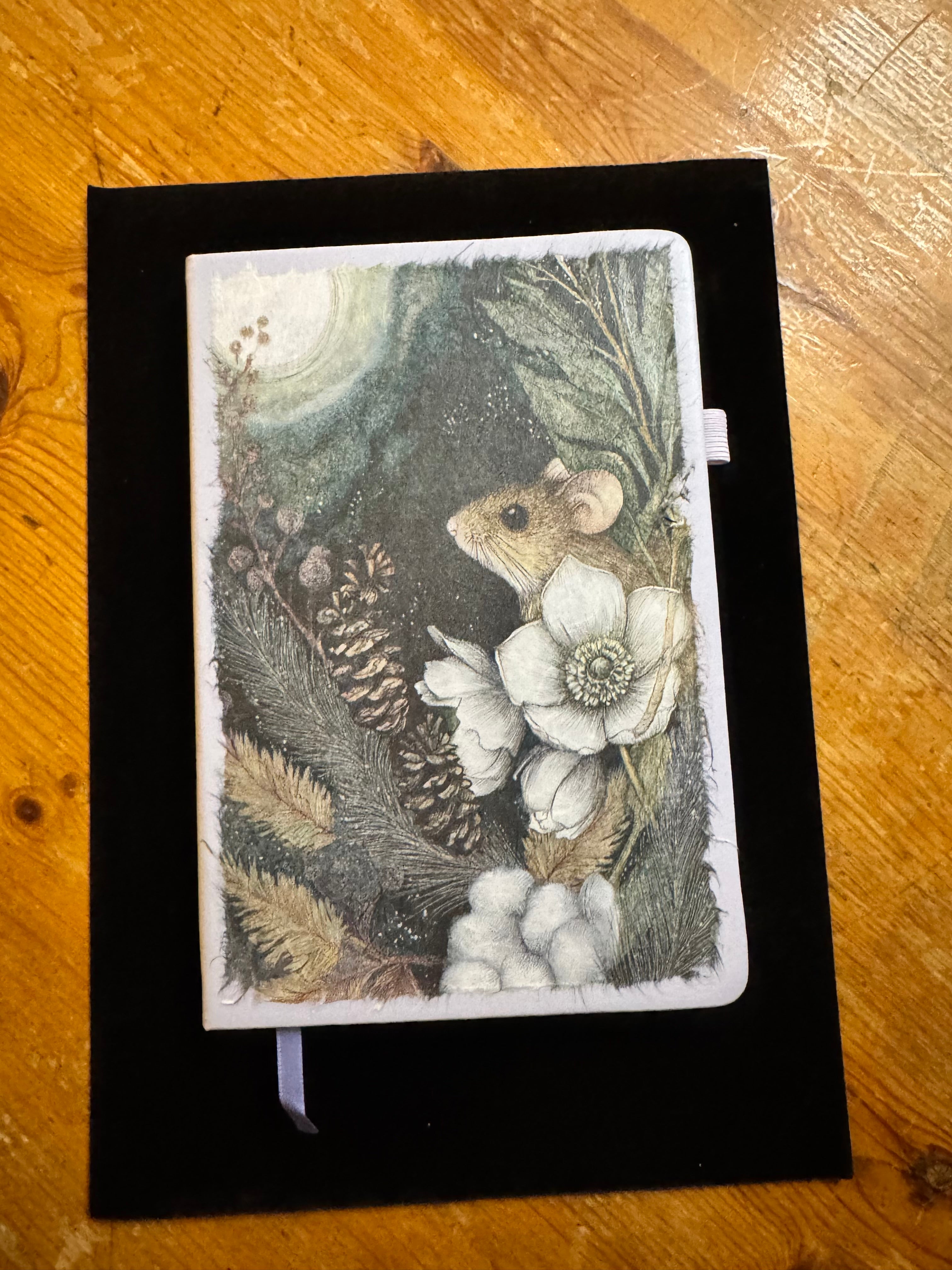 Night Creatures Notebook $25