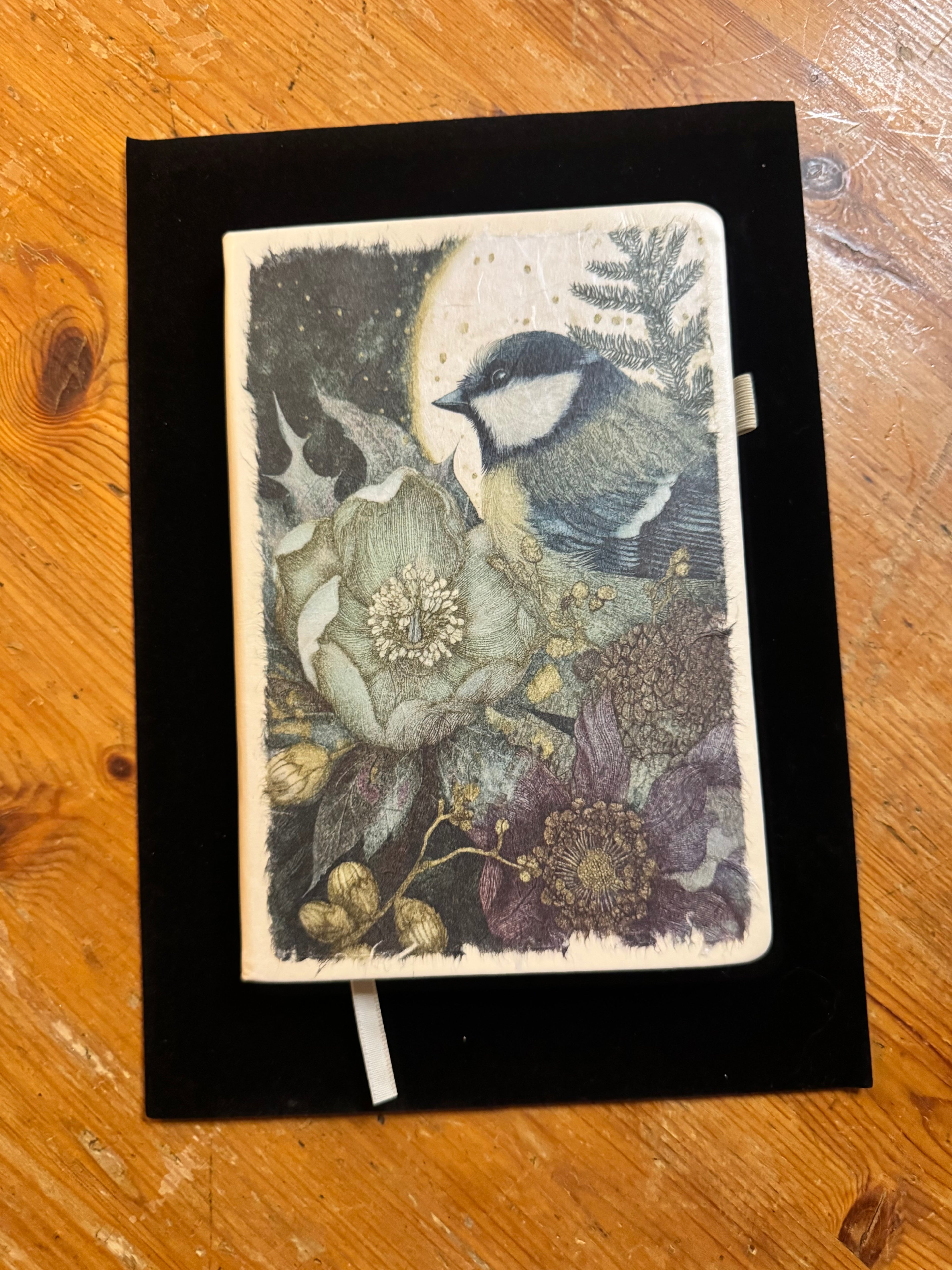 Night Creatures Notebook $25