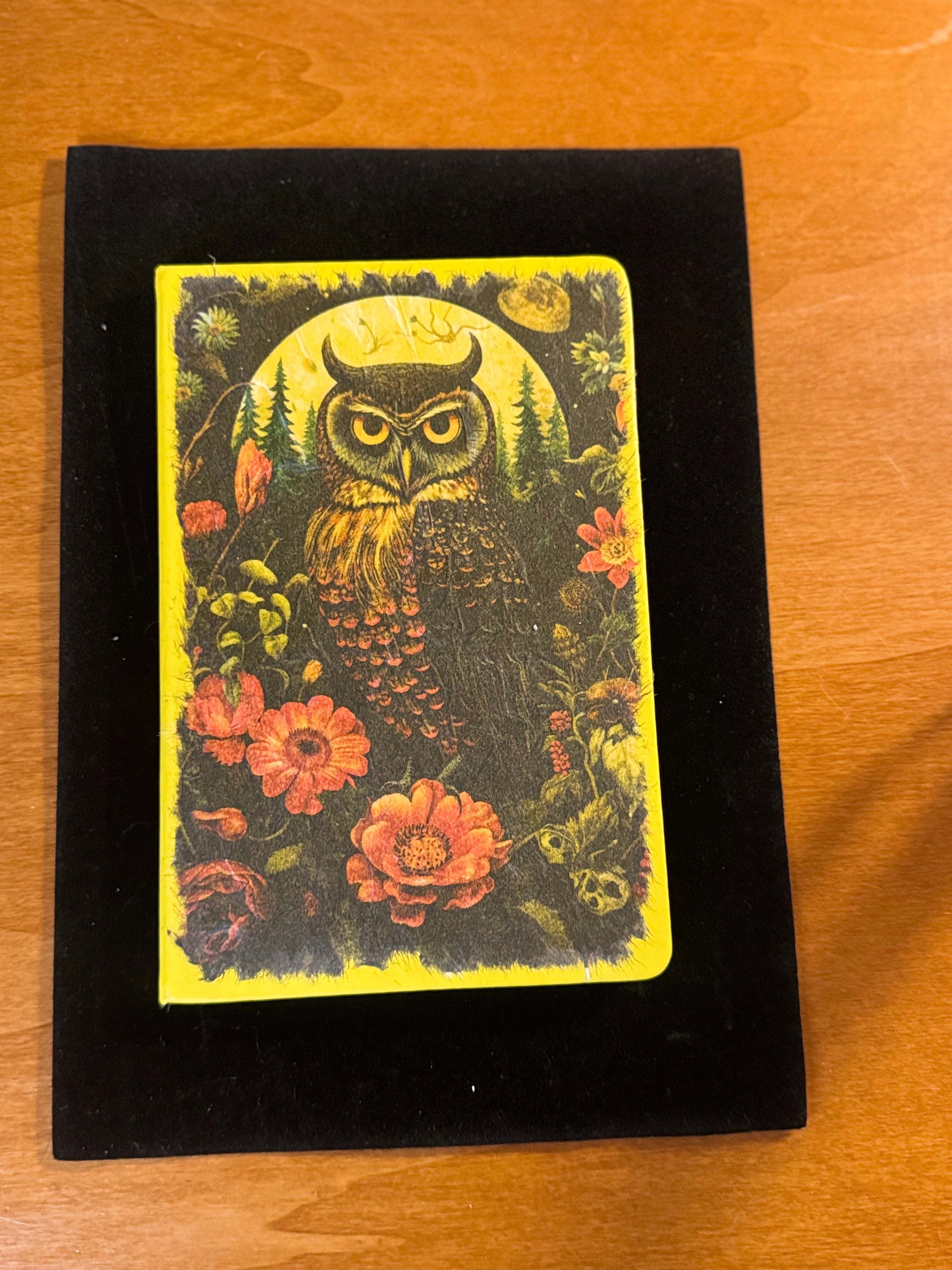Creature Forest at Night Journal $20