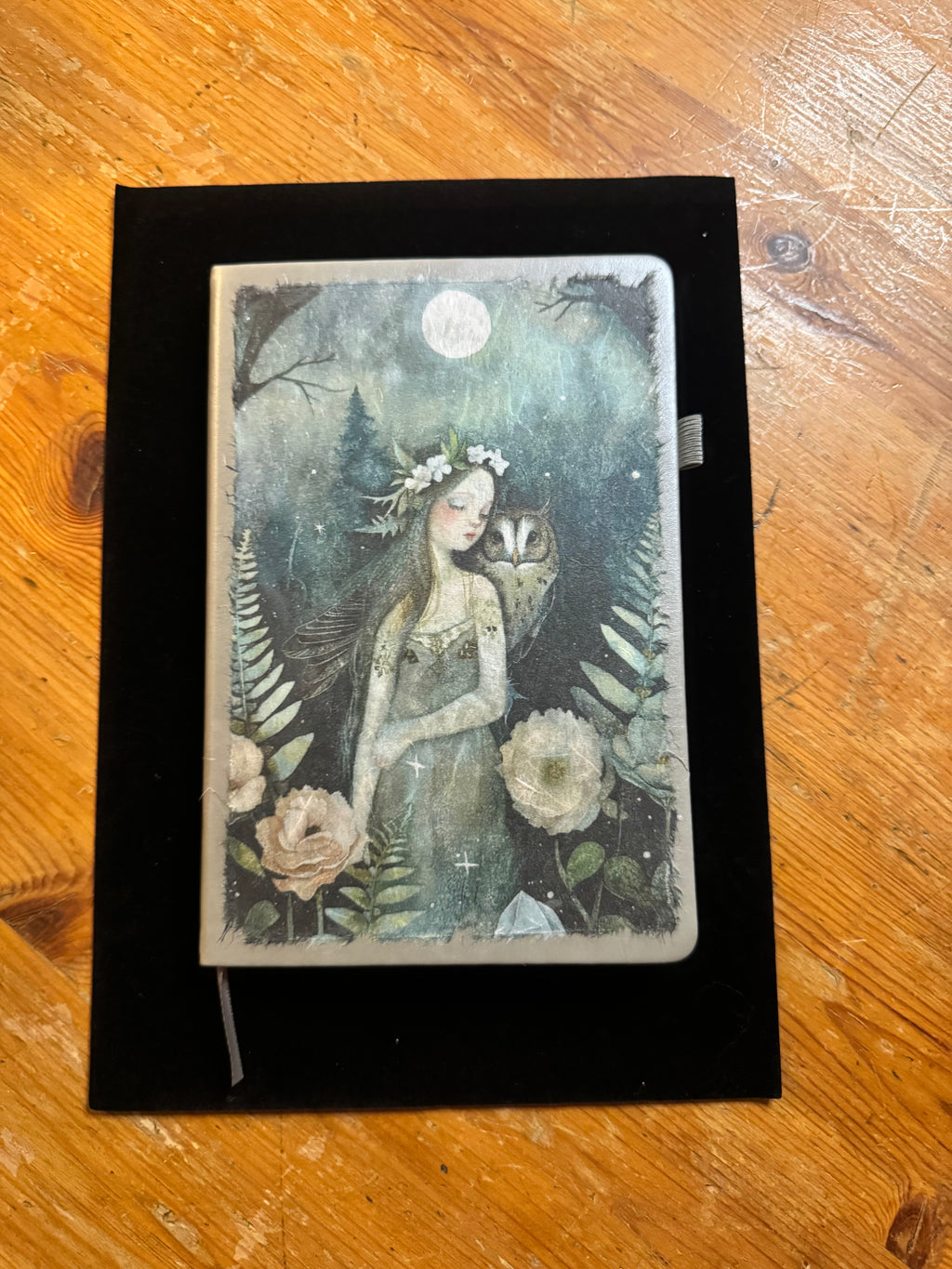 Comforting Creatures Notebook $25